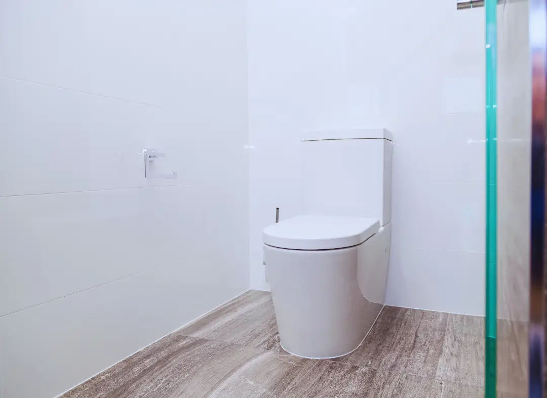 Remplacement de wc Castelnau-d'Estrétefonds